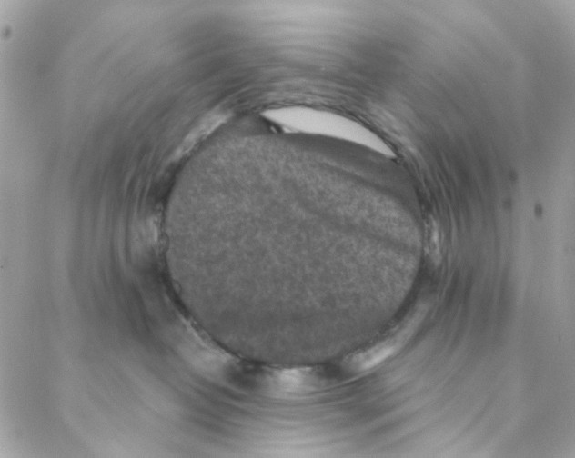 X0000088220382200706051329