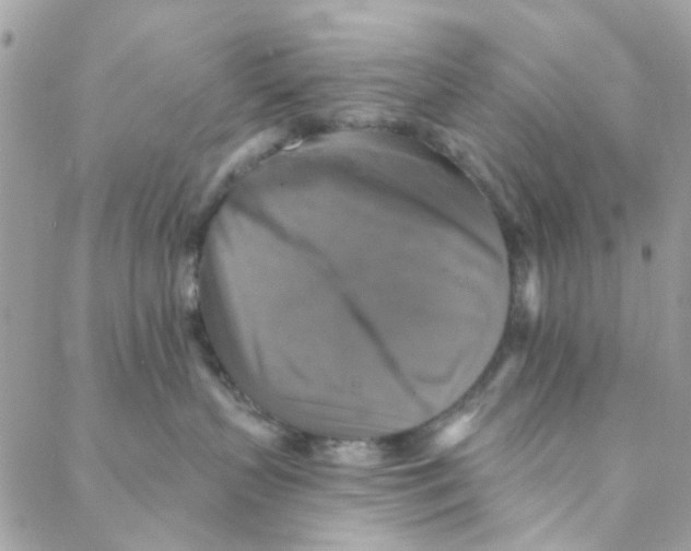 X0000088220383200706051329