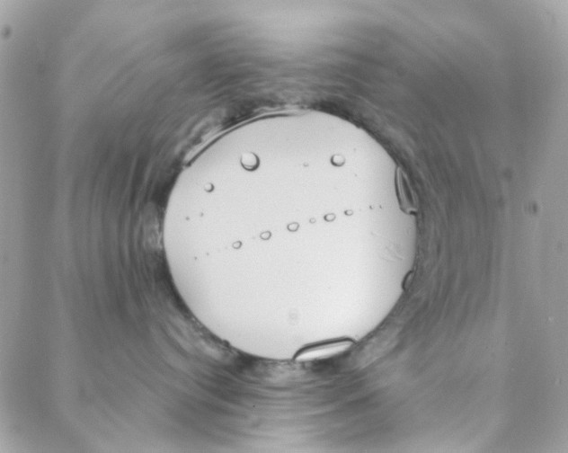 X0000088220384200706051329