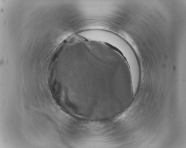 X0000088220385200706051328