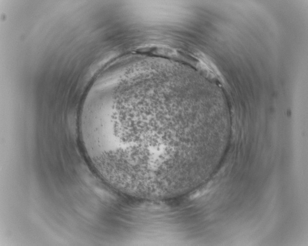 X0000088220386200706051328