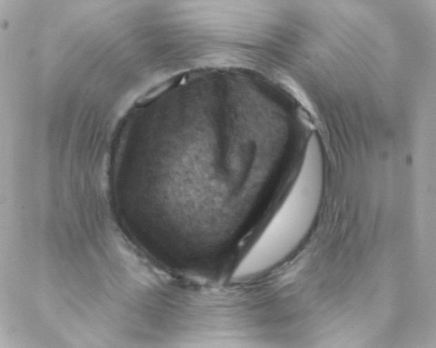 X0000088220387200706051328