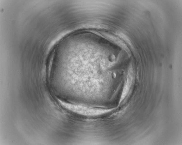 X0000088220388200706051328