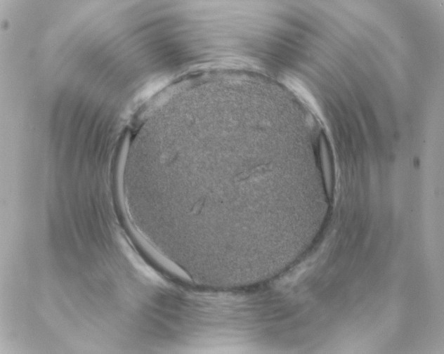 X0000088220389200706051328