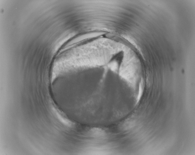 X0000088220390200706051328