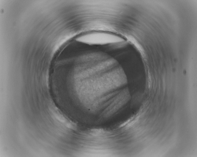 X0000088220391200706051328