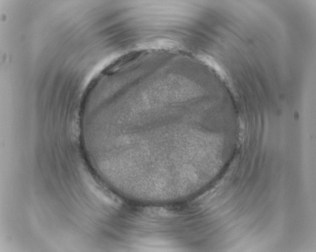 X0000088220392200706051328