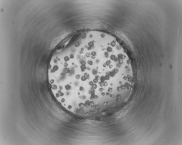 X0000088220393200706051328