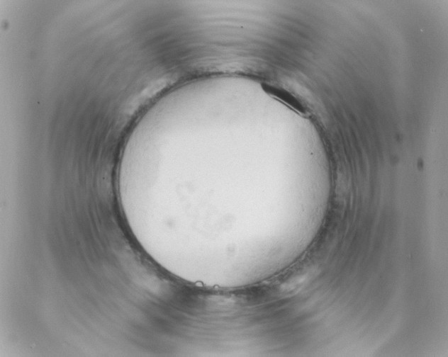 X0000088220394200706051328