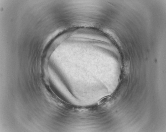 X0000088220395200706051328