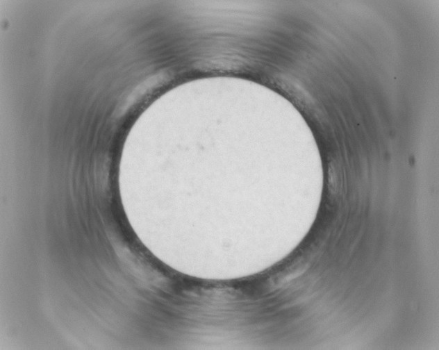 X0000088220396200706051328