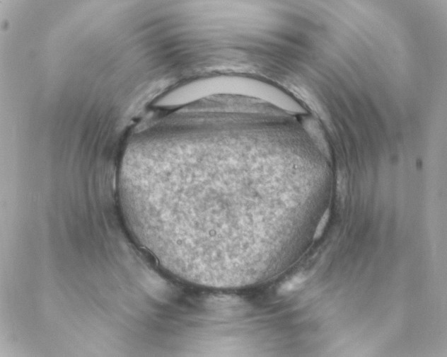 X0000088220397200706051328