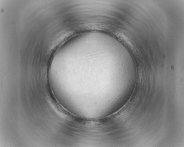 X0000088220398200706051328