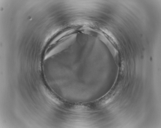 X0000088220399200706051328