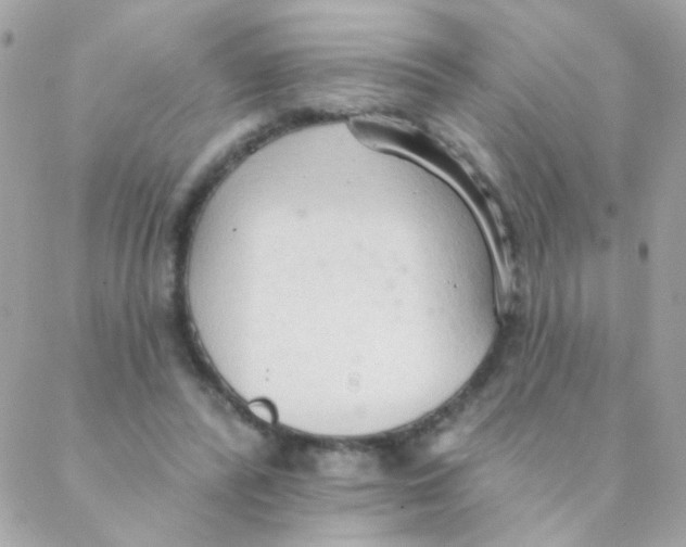 X0000088220400200706051328