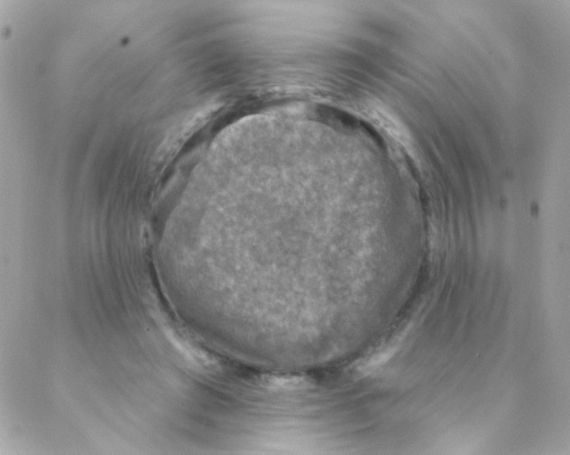 X0000088220401200706051328