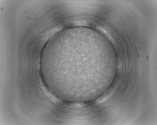 X0000088220402200706051328