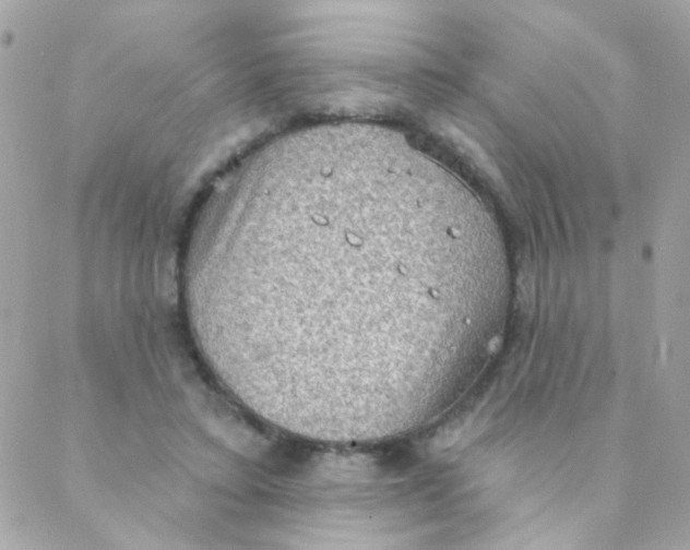 X0000088220403200706051328