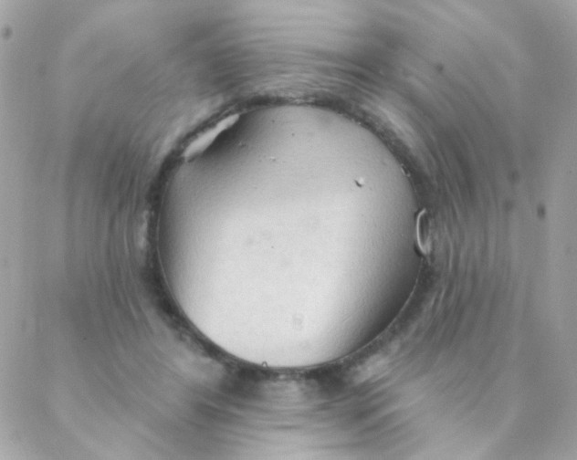 X0000088220404200706051328