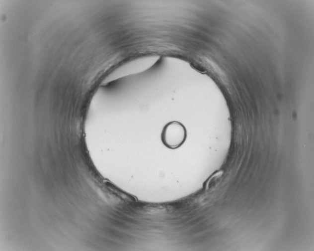 X0000088220405200706051327