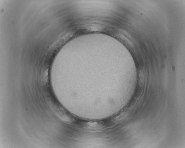 X0000088220406200706051327