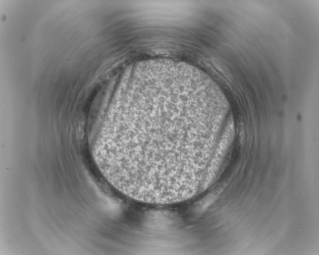 X0000088220408200706051327