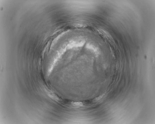 X0000088220409200706051327