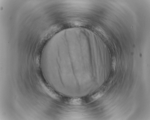 X0000088220410200706051327