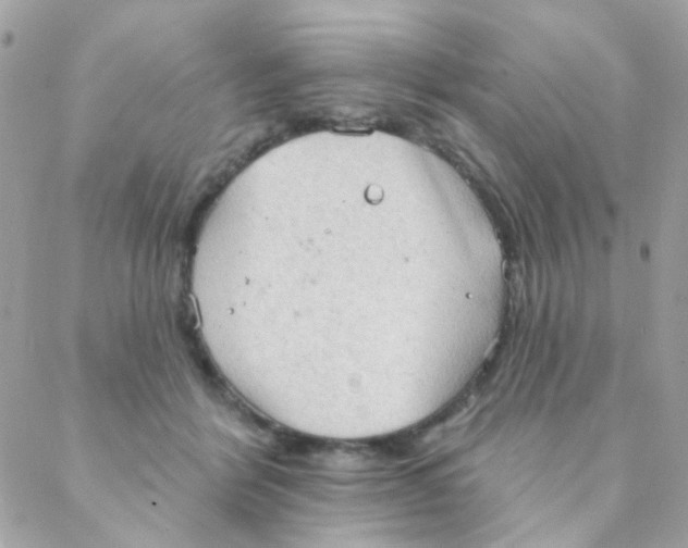 X0000088220412200706051327