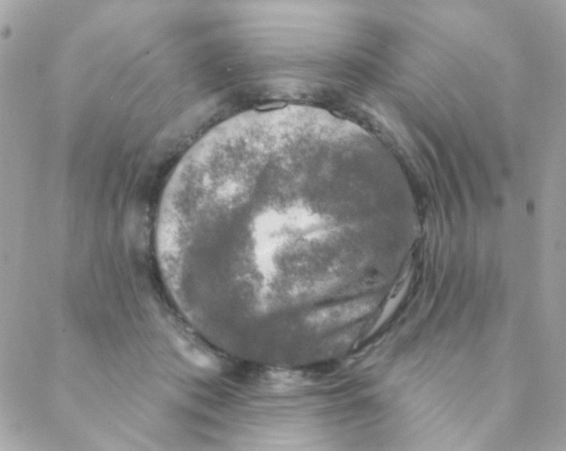 X0000088220413200706051327