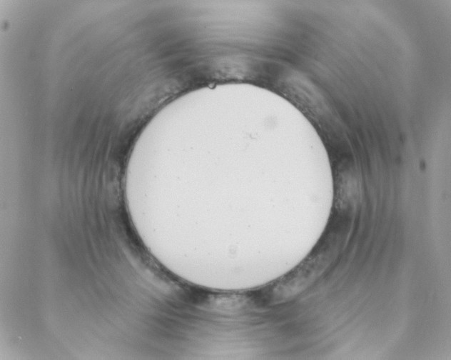 X0000088220414200706051327