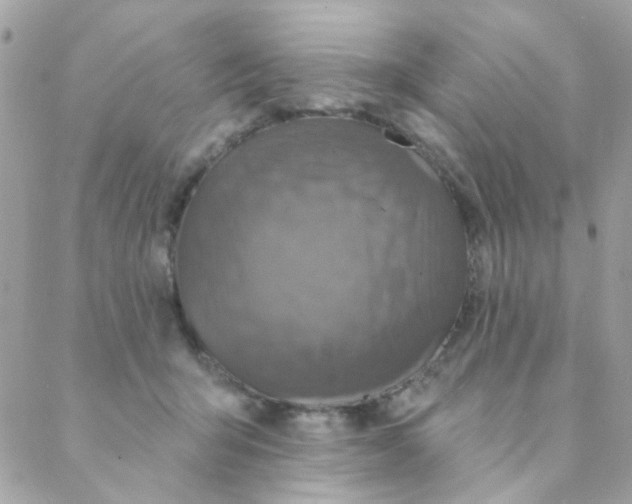 X0000088220415200706051327