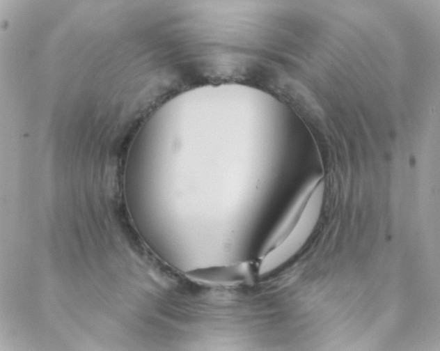 X0000088220416200706051327