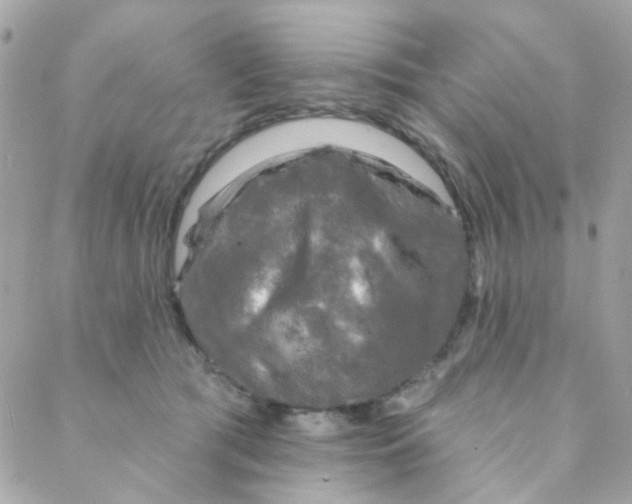 X0000088220417200706051327