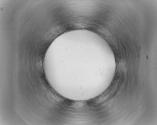 X0000088220418200706051327