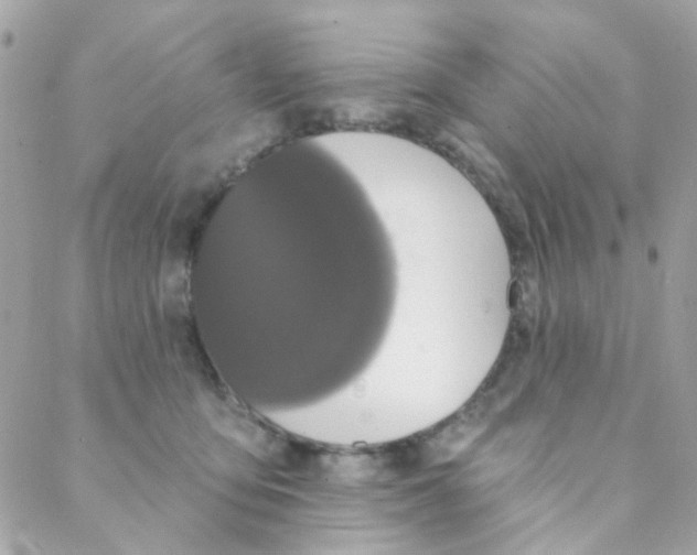 X0000088220419200706051327