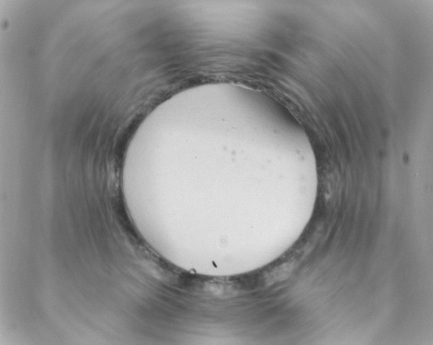 X0000088220420200706051327