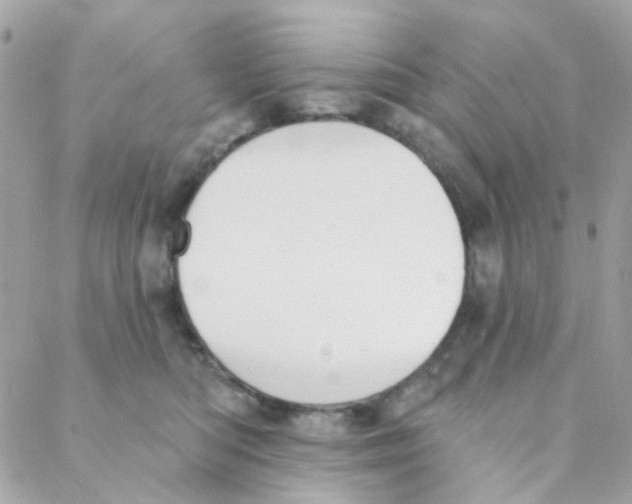 X0000088220422200706051327