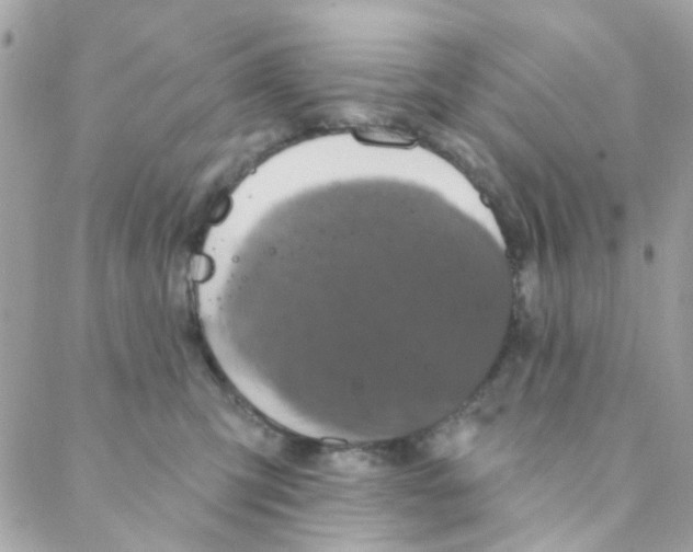 X0000088220423200706051327