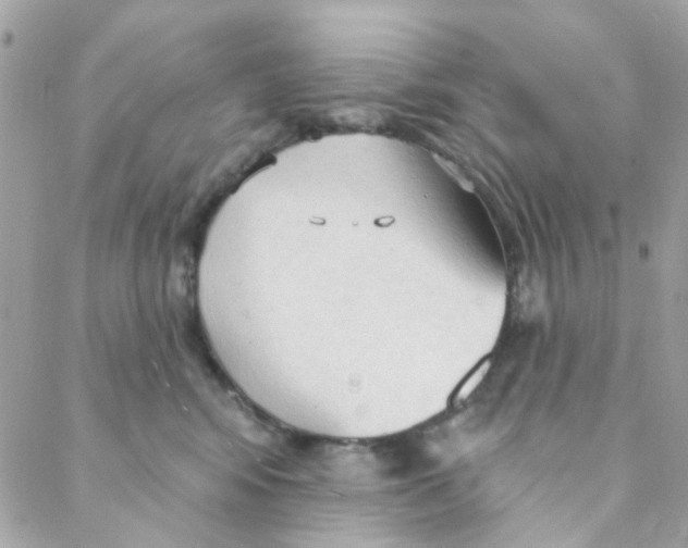 X0000088220424200706051327