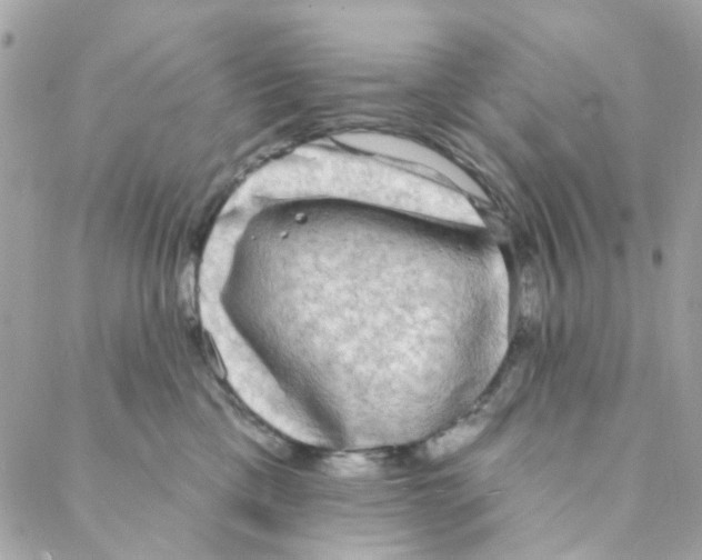 X0000088220425200706051327