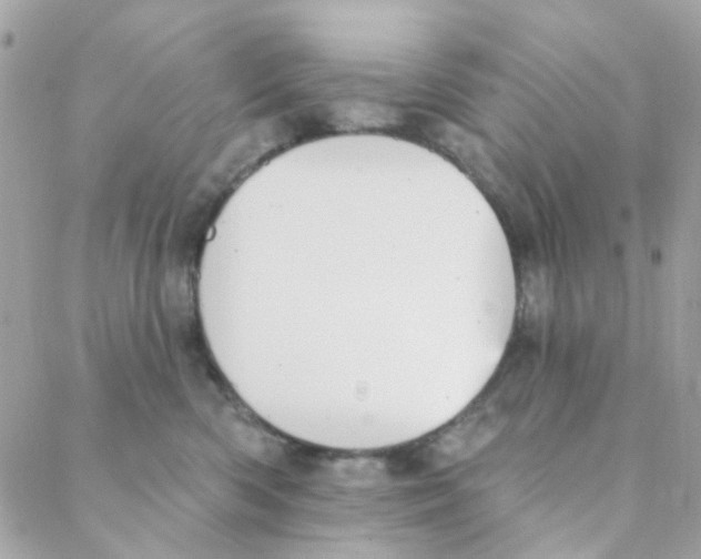 X0000088220426200706051327