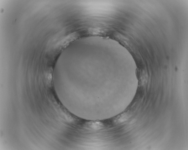 X0000088220427200706051327