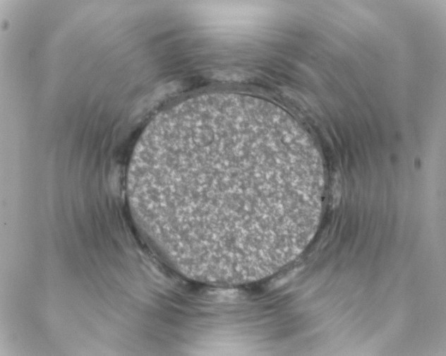 X0000088220428200706051327