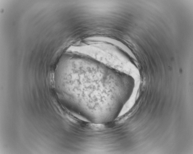 X0000088220429200706051327