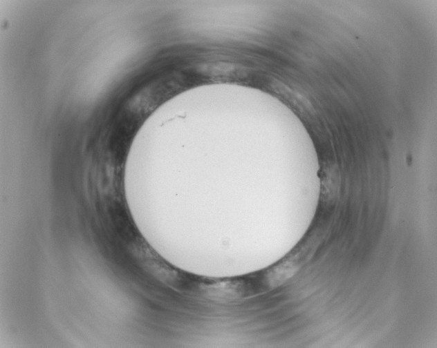 X0000088220430200706051327