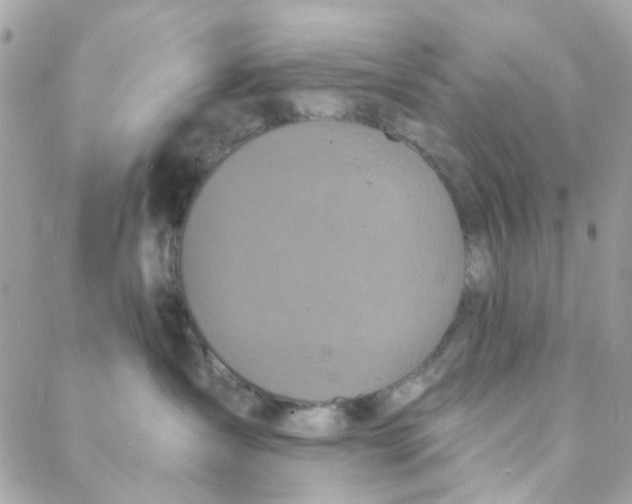 X0000088220431200706051327