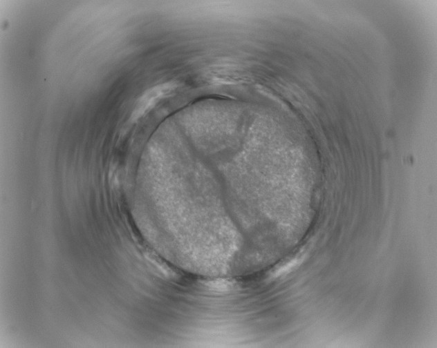 X0000088220432200706051327