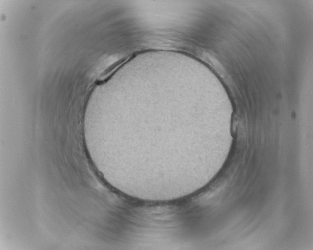 X0000088220433200706051326