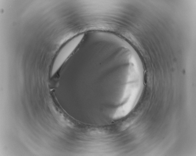 X0000088220434200706051326